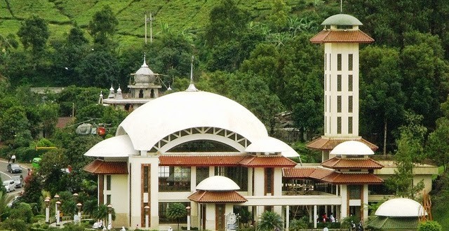 shafiyyatul.com