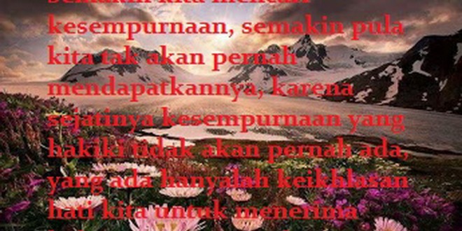 shafiyyatul.com