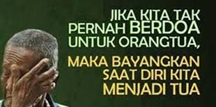 shafiyyatul.com