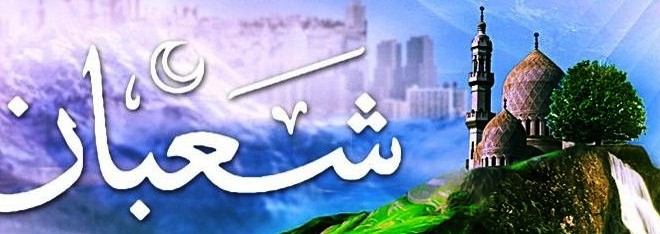 shafiyyatul.com