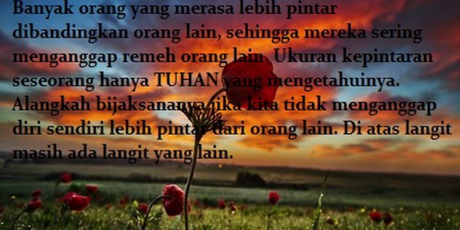 shafiyyatul.com