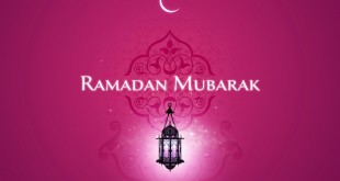 shafiyyatul.com