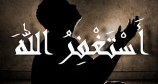 shafiyyatul.com