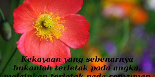 deras.co.id