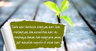 deras.co.id