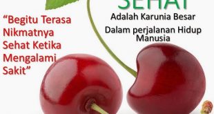 deras.co.id