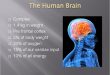 Berat Otak Manusia Menjadi Terasa Ringan Karena Manfaat Sujud