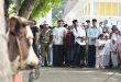 Bobby Nasution Sumbang 17 Sapi Kurban dengan Total Berat 11 Ton ke Masyarakat Secara Pribadi Tahun Ini