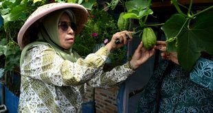 Pastikan Program PKK Berjalan Optimal, Titiek Sugiharti Tinjau Desa Temberun